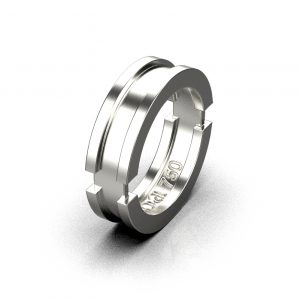Platinum Rings - ODOZIAKUCHI